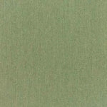 Sunbrella Canvas Fern 5487-0000