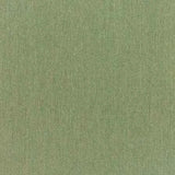 Sunbrella Canvas Fern 5487-0000