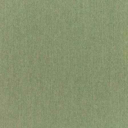 Sunbrella Canvas Fern 5487-0000