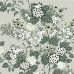 Florence Broadhurst Chinese Florals
