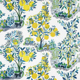 Schumacher Fabrics - Citrus Garden