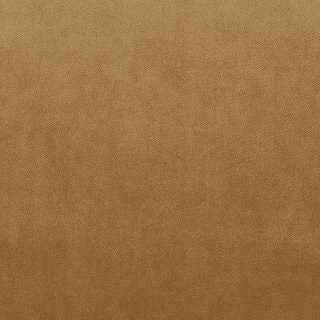 Warwick Fabrics - Cleo Velvet