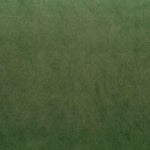 Warwick Fabrics - Cleo Velvet