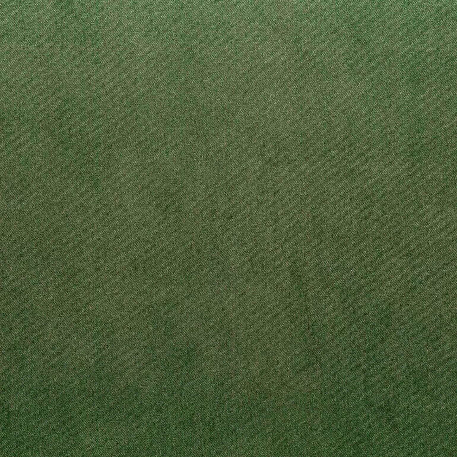 Warwick Fabrics - Cleo Velvet