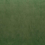 Warwick Fabrics - Cleo Velvet