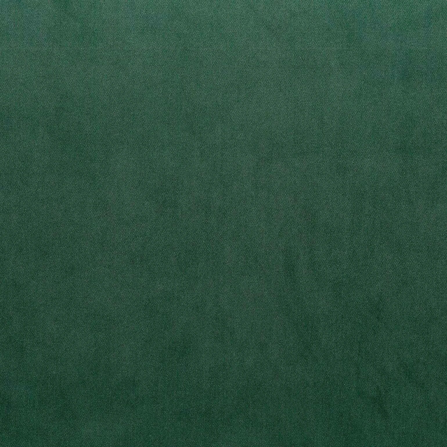 Warwick Fabrics - Cleo Velvet