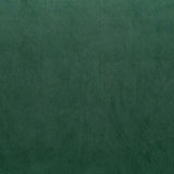 Warwick Fabrics - Cleo Velvet