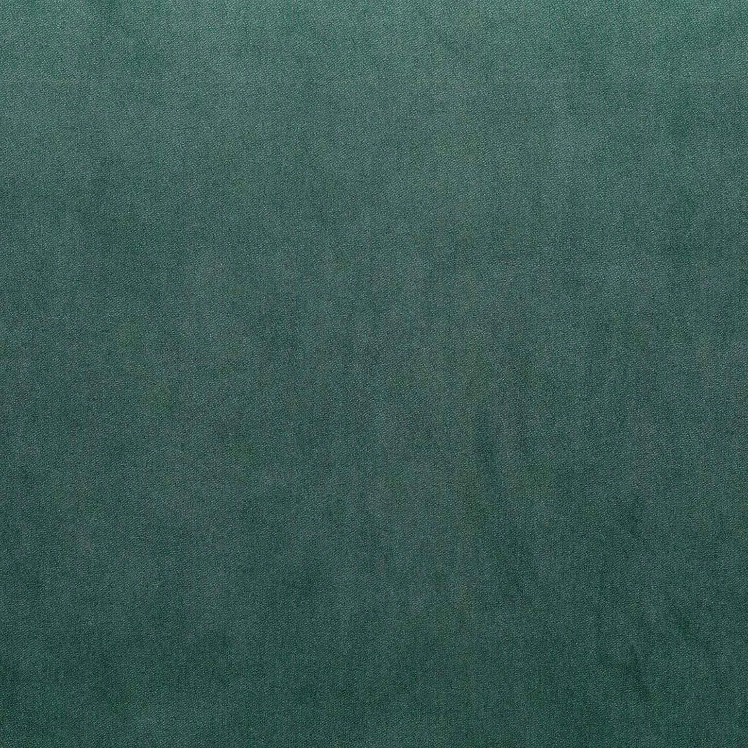 Warwick Fabrics - Cleo Velvet