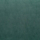 Warwick Fabrics - Cleo Velvet