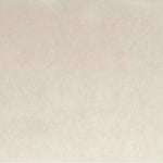 Warwick Fabrics - Cleo Velvet