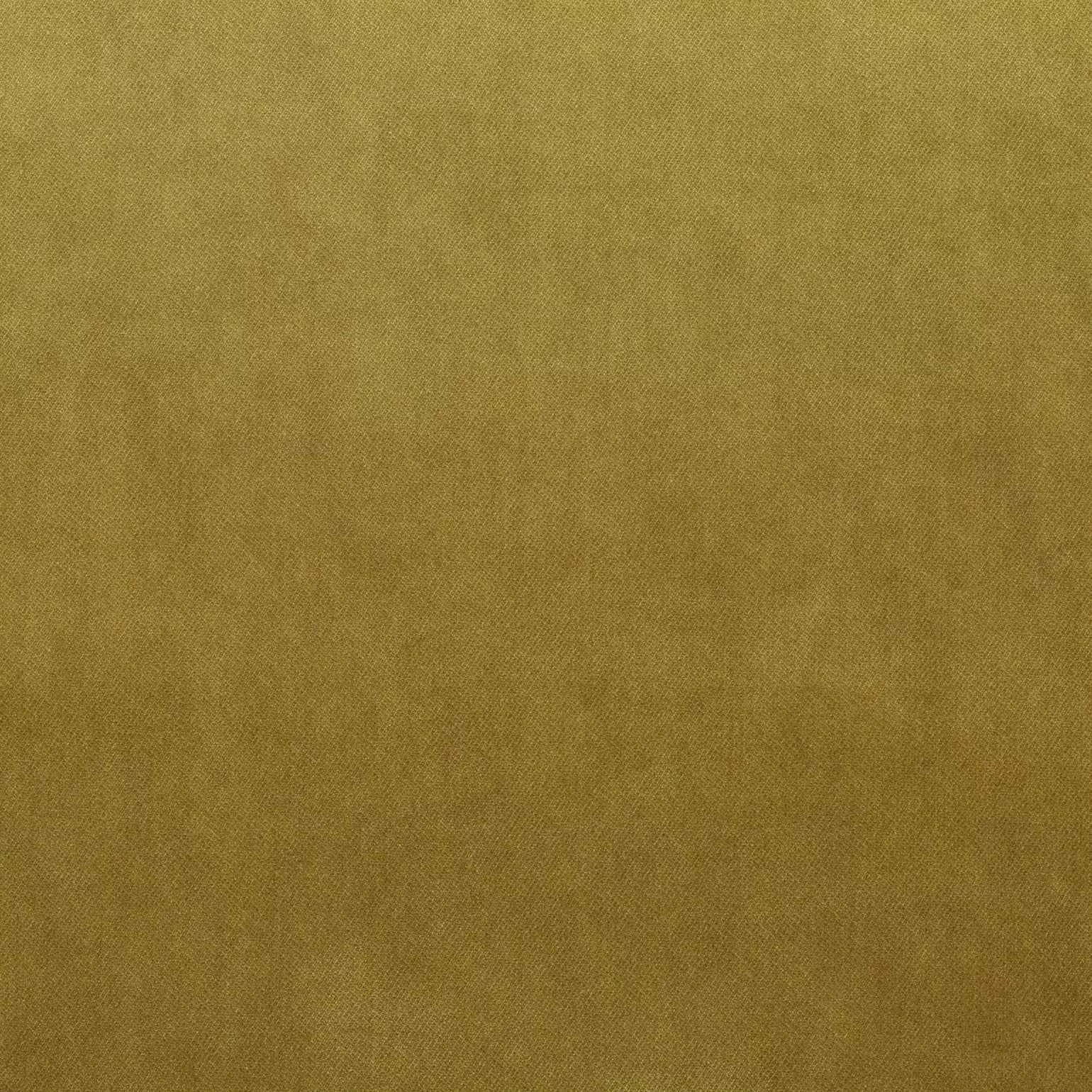 Warwick Fabrics - Cleo Velvet