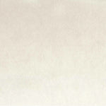 Warwick Fabrics - Cleo Velvet