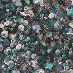 Warwick Upholstery Fabrics Flowerbomb Velvet