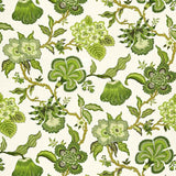 Schumacher Fabrics - Hothouse Flowers