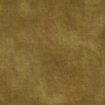 Warwick Fabrics - Lovely Velvet - Burnish image