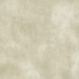 Warwick Fabrics - Lovely Velvet