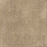 Warwick Fabrics - Lovely Velvet