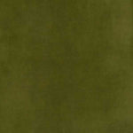 Warwick Fabrics - Lovely Velvet - Moss image