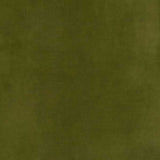 Warwick Fabrics - Lovely Velvet - Moss image