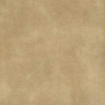 Warwick Fabrics - Lovely Velvet - Nougat image