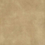 Warwick Fabrics - Lovely Velvet - Nougat image