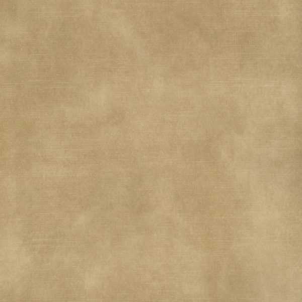Warwick Fabrics - Lovely Velvet - Nougat image