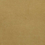 Lux Velvet by Zepel Fabrics - Antelope image
