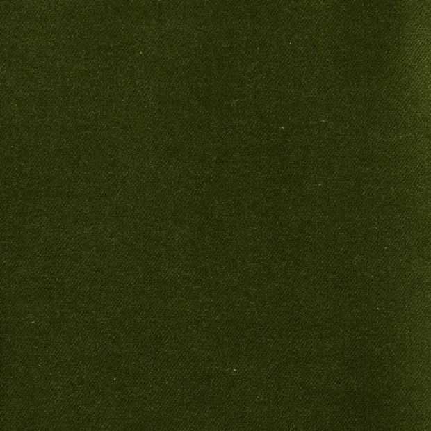 Lux Velvet by Zepel Fabrics - Olive image