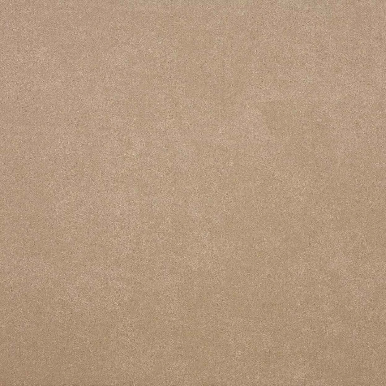Warwick Fabrics - Macrosuede