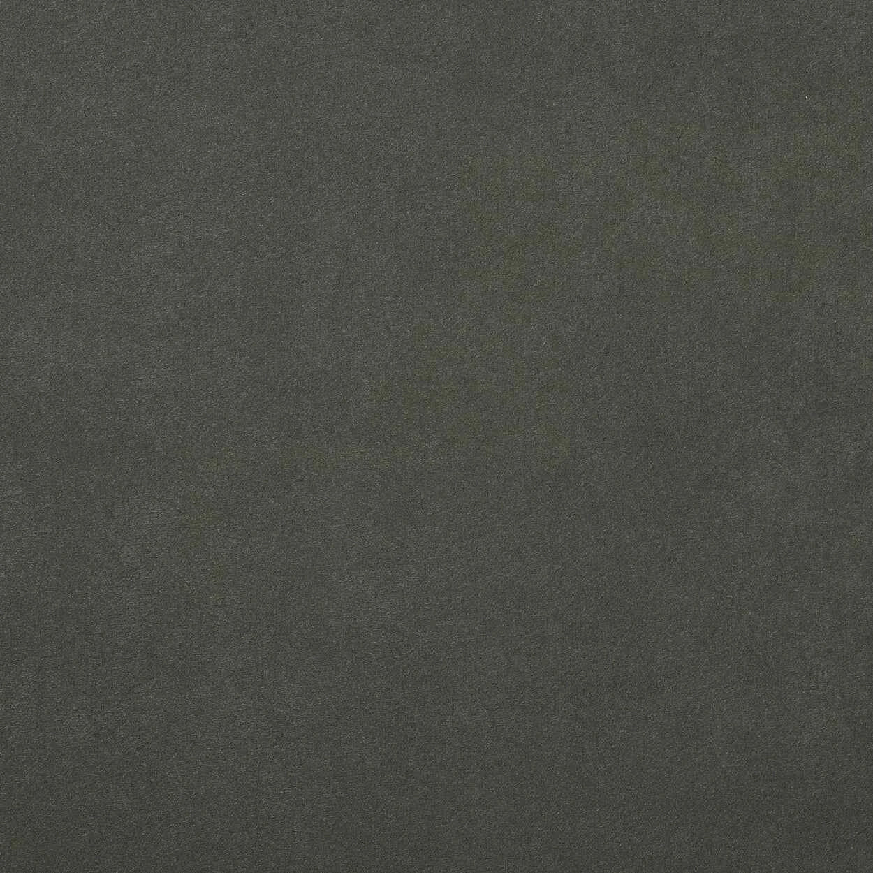Warwick Fabrics - Macrosuede