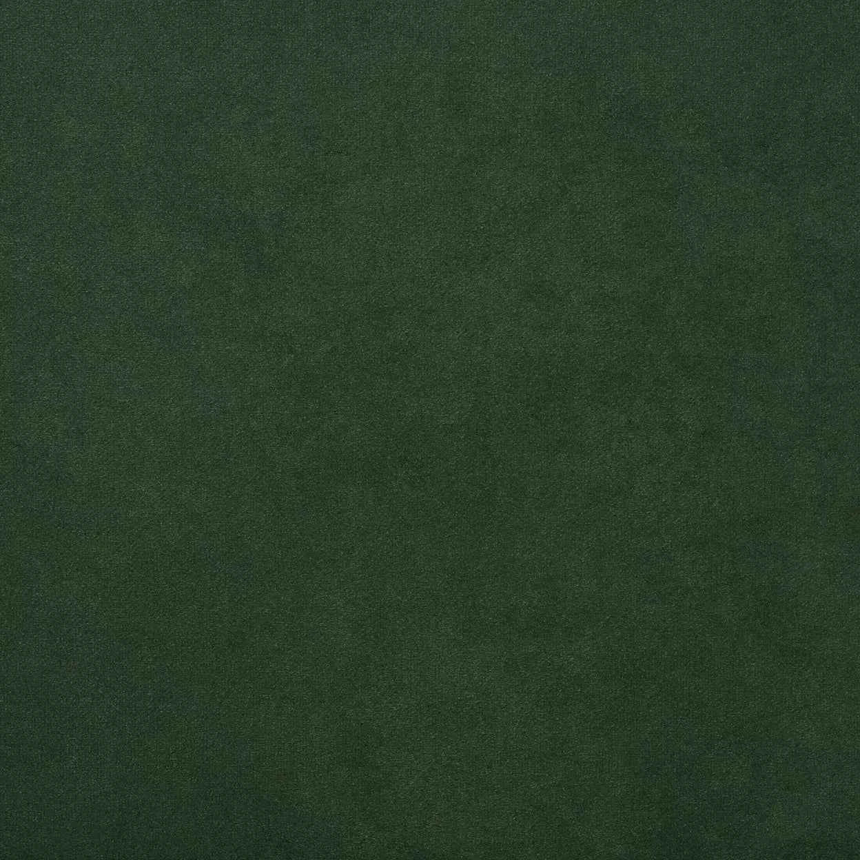 Warwick Fabrics - Macrosuede