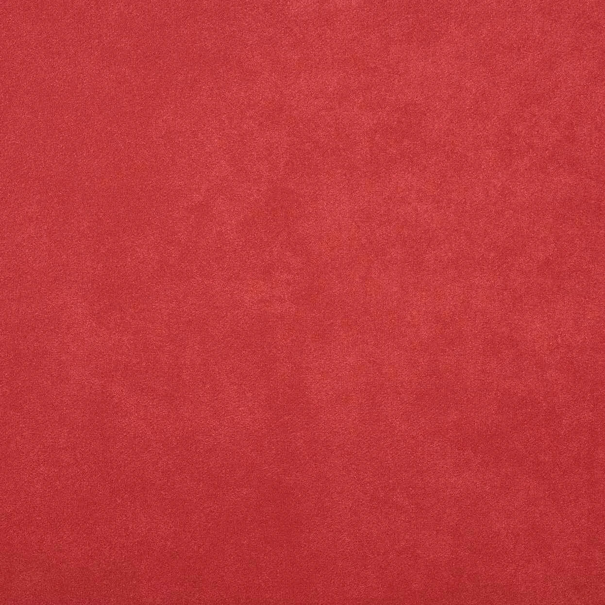 Warwick Fabrics - Macrosuede