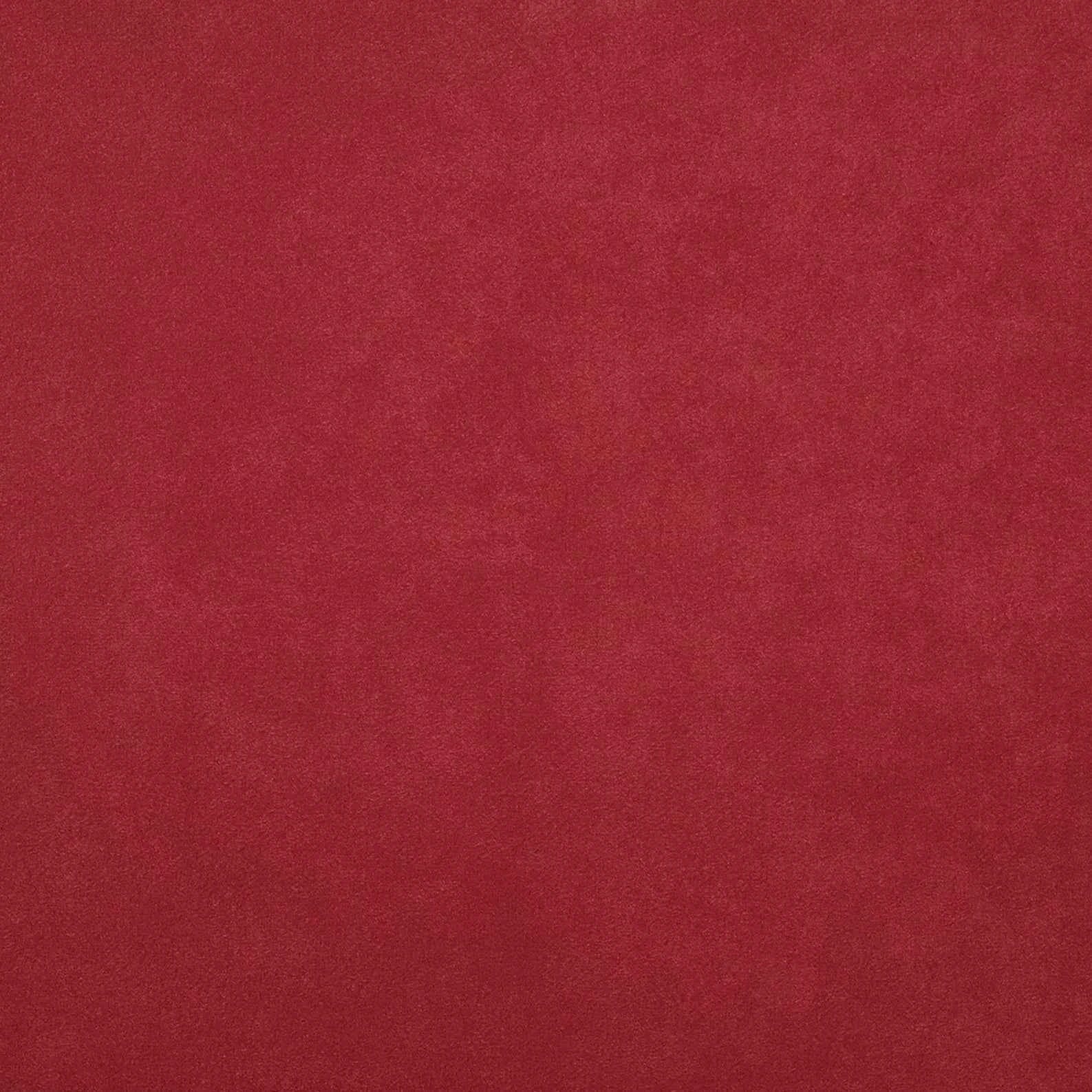 Warwick Fabrics - Macrosuede