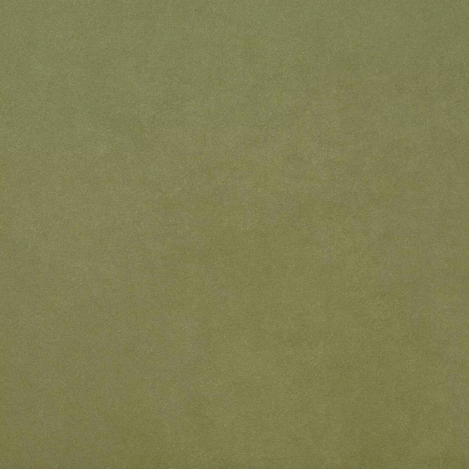 Warwick Fabrics - Macrosuede