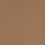 Upholstery Vinyl - Pacifica Standard