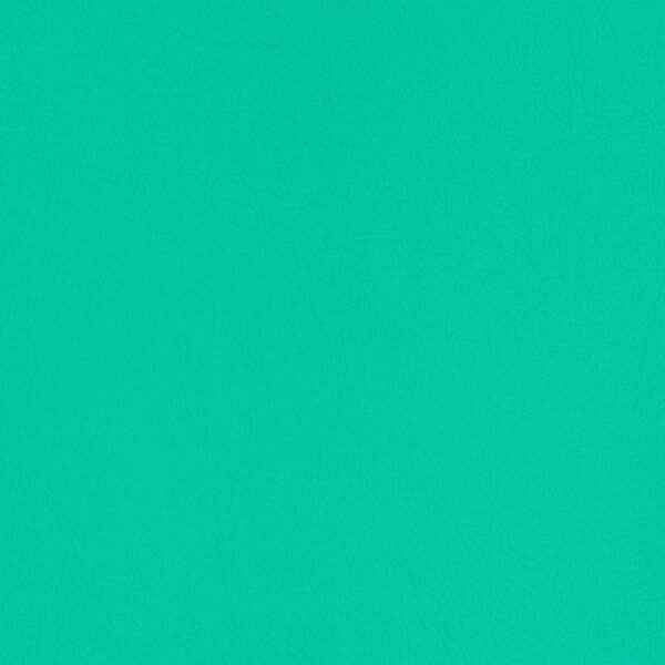 Upholstery Vinyl - Pacifica Standard