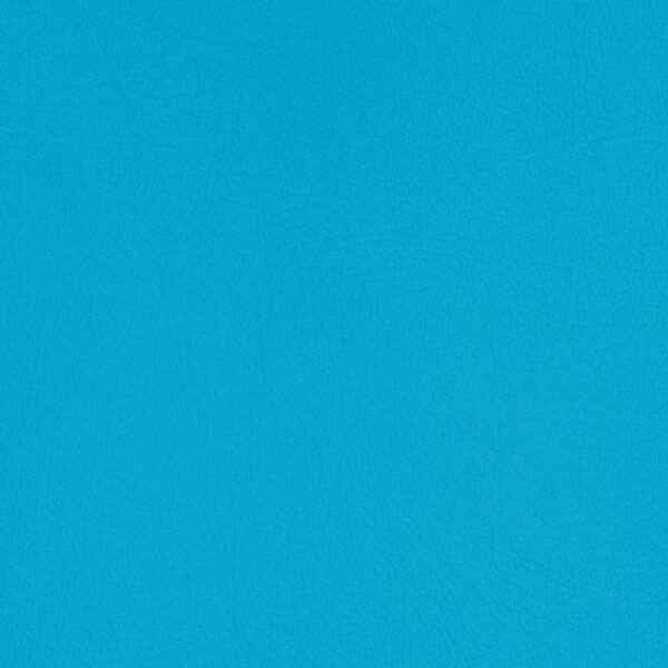 Upholstery Vinyl - Pacifica Standard