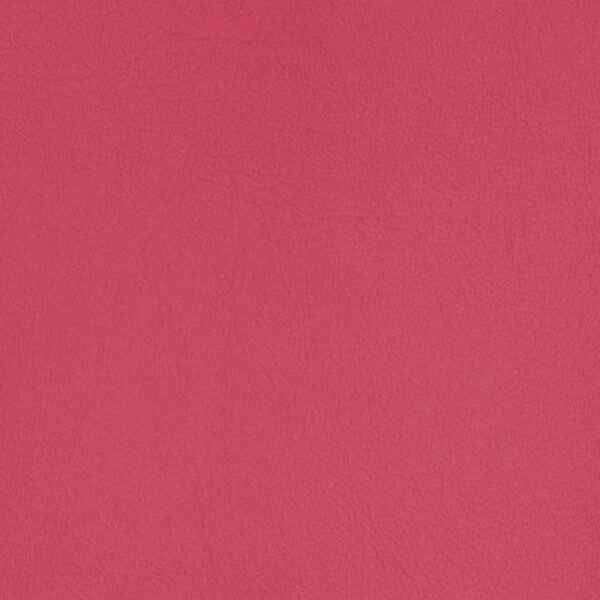 Upholstery Vinyl - Pacifica Standard
