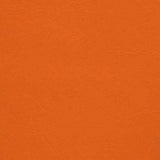 Upholstery Vinyl - Pacifica Standard