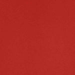 Upholstery Vinyl - Pacifica Standard