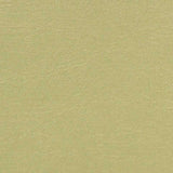 Upholstery Vinyl - Pacifica Standard - Gold Shimmer image