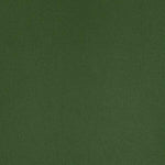 Upholstery Vinyl - Pacifica Standard - Kale Green image
