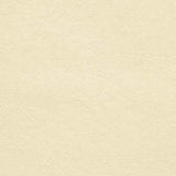 Upholstery Vinyl - Pacifica Standard