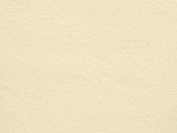 Upholstery Vinyl - Pacifica Standard