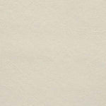 Upholstery Vinyl - Pacifica Standard