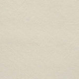 Upholstery Vinyl - Pacifica Standard