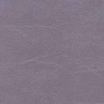 Upholstery Vinyl - Pacifica Standard