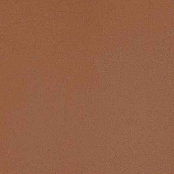 Upholstery Vinyl - Pacifica Standard