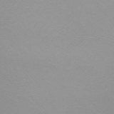 Upholstery Vinyl - Pacifica Standard