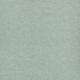 Upholstery Vinyl - Pacifica Standard